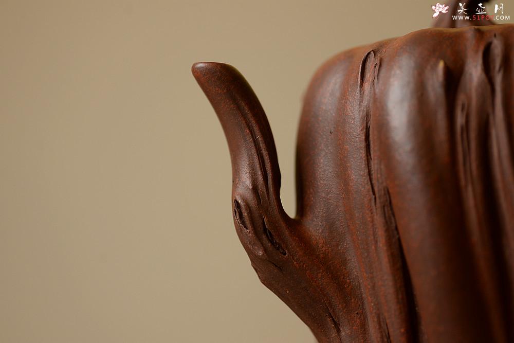 紫砂壶图片：吴震经典代表作 榕树 - 美壶网