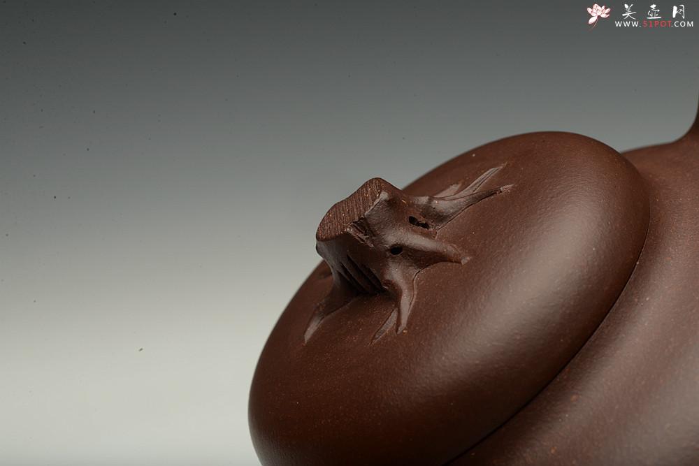 紫砂壶图片：高雪琴全手新作 敦厚悠然 简意花货~ 秋色 做工精致 - 美壶网