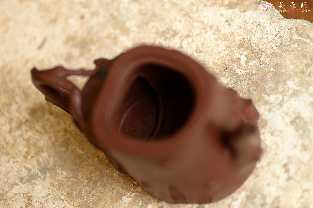 紫砂壶图片：单志萍乙未年全手新作 颇具玩味~ 松梅常青 有难度的花货~ - 美壶网