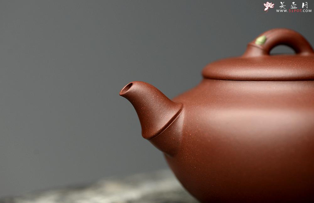 紫砂壶图片：曲峰乙末年经典器形 端庄秀气 春竹壶 耐品 - 美壶网