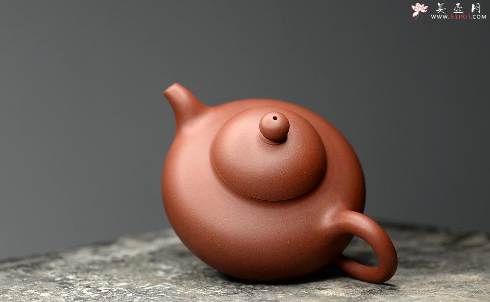 紫砂壶图片：精工实力派 华颖 传统耐品 - 美壶网