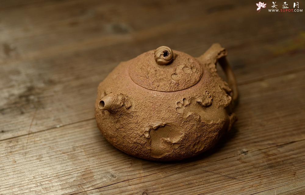 紫砂壶图片：陈进全手新品 造型新颖 优雅之作 全手树魂 - 美壶网