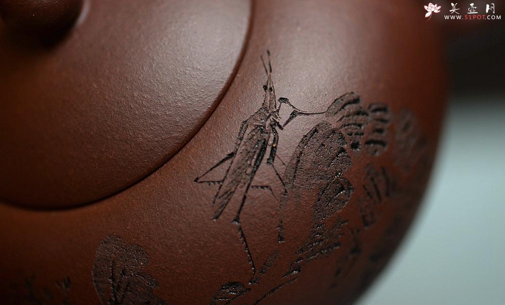 紫砂壶图片：谭华斌近作 道洪风格之玉露 刀法精炼 可人小壶 美壶特惠 - 美壶网