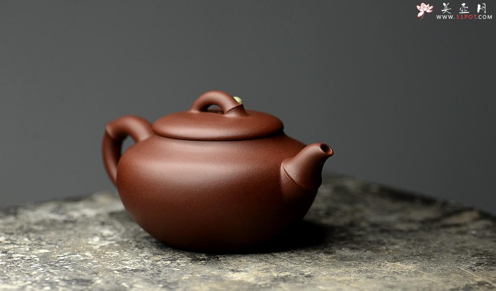 紫砂壶图片：曲峰乙末年经典器形 端庄秀气 春竹壶 耐品 - 美壶网