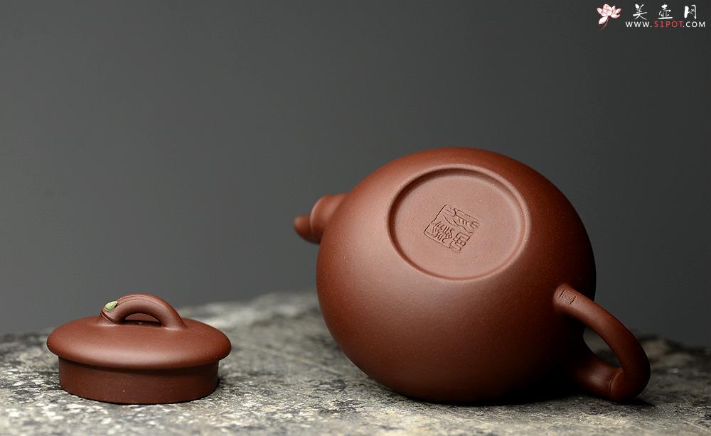 紫砂壶图片：曲峰乙末年经典器形 端庄秀气 春竹壶 耐品 - 美壶网