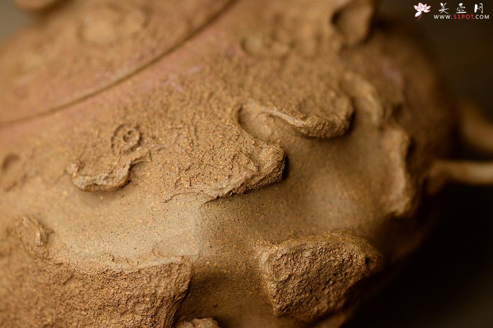 紫砂壶图片：陈进全手新品 造型新颖 优雅之作 全手树魂 - 美壶网