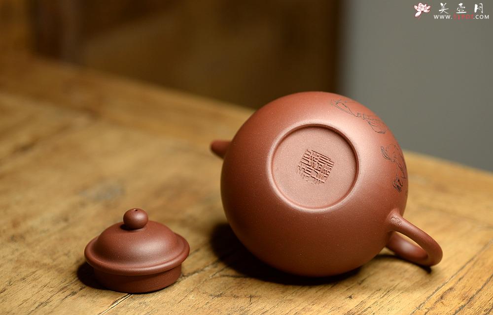 紫砂壶图片：大气饱满 优质清水 传统掇球 茶聚实用 - 美壶网