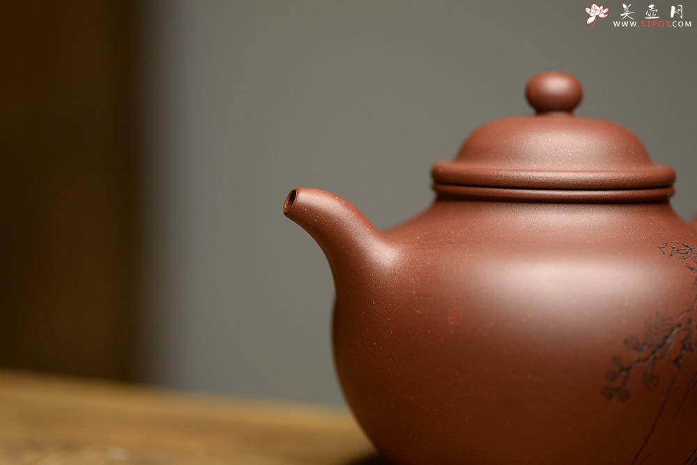 紫砂壶图片：大气饱满 优质清水 传统掇球 茶聚实用 - 美壶网