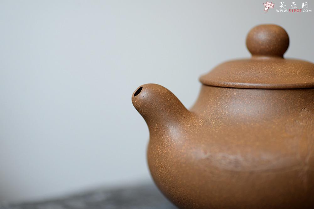 紫砂壶图片：张听刚装饰 蓄势内敛 趣味盎然 全手婉珠 萝卜白菜各有所爱：） - 美壶网