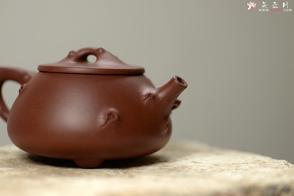 紫砂壶图片：傲雪寒梅 饱满可爱 实用花器 梅花石瓢 - 美壶网