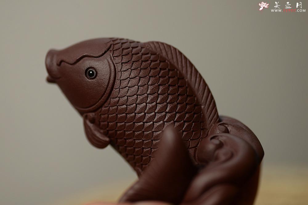 紫砂壶图片：紫砂摆件 做工精致 栩栩如生 鲤鱼~金蟾 - 美壶网