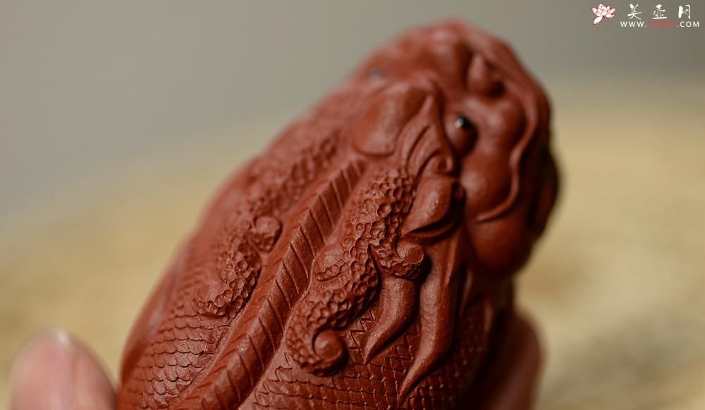 紫砂壶图片：紫砂摆件 做工精致 栩栩如生 鲤鱼~金蟾 - 美壶网