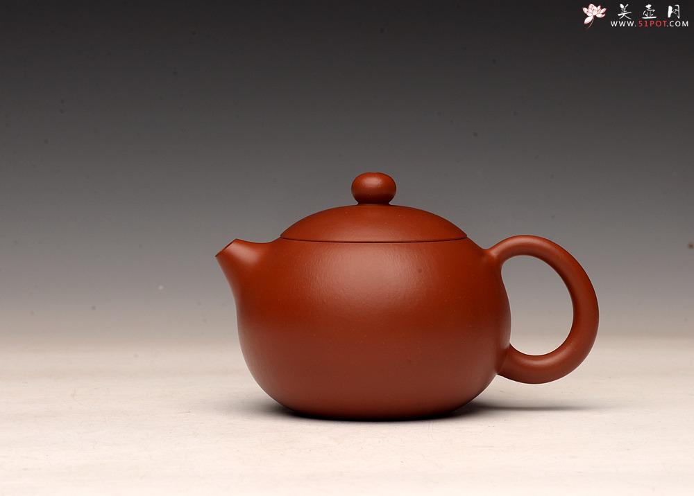 紫砂壶图片：娇艳可人 灵气之作 赵庄朱泥之精品西施  - 美壶网