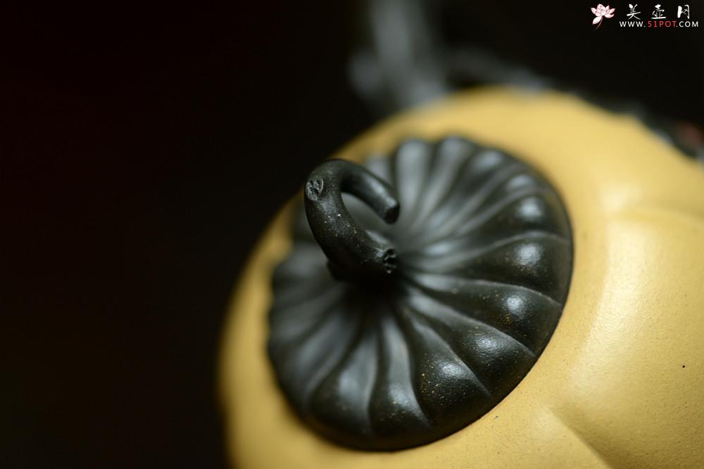 紫砂壶图片：原创作品 本段小金瓜 灵巧曼妙 夏日利器 孙伟强张新亚合作 - 美壶网