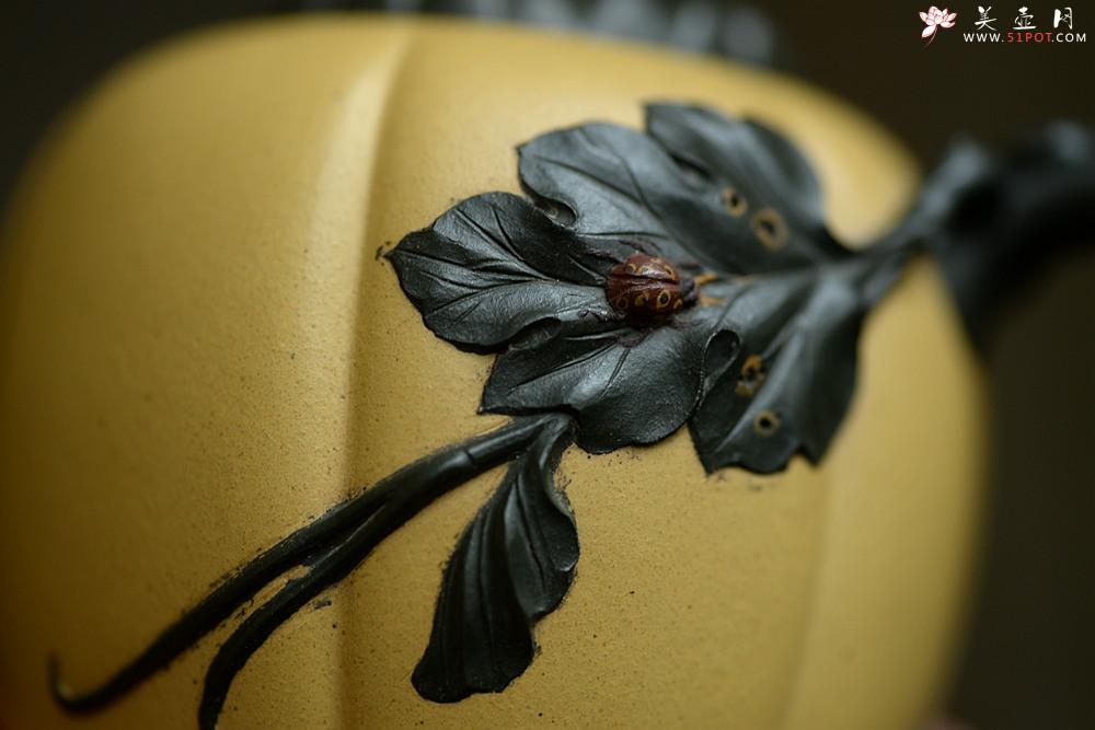 紫砂壶图片：原创作品 本段小金瓜 灵巧曼妙 夏日利器 孙伟强张新亚合作 - 美壶网