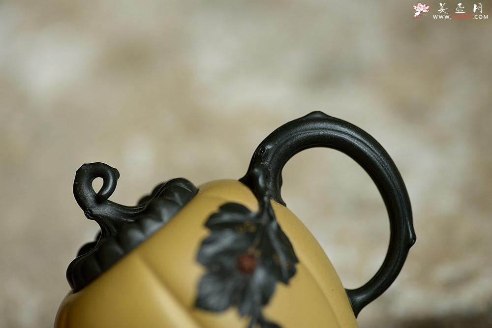 紫砂壶图片：原创作品 本段小金瓜 灵巧曼妙 夏日利器 孙伟强张新亚合作 - 美壶网