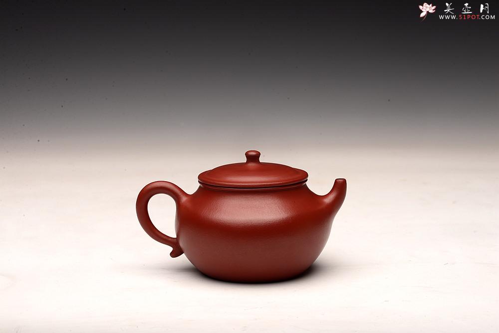 紫砂壶图片：徐亚春作品 别有风韵~娇艳可人 全手心灯 - 美壶网