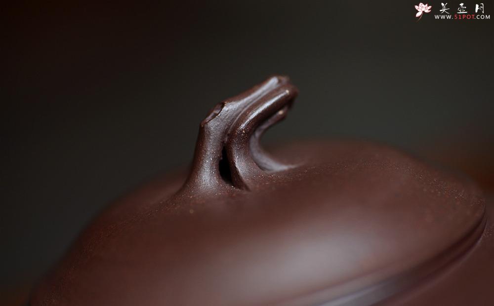 紫砂壶图片：高雪琴全手新作 做工精致 构思精妙别有风味 春韵壶 - 美壶网