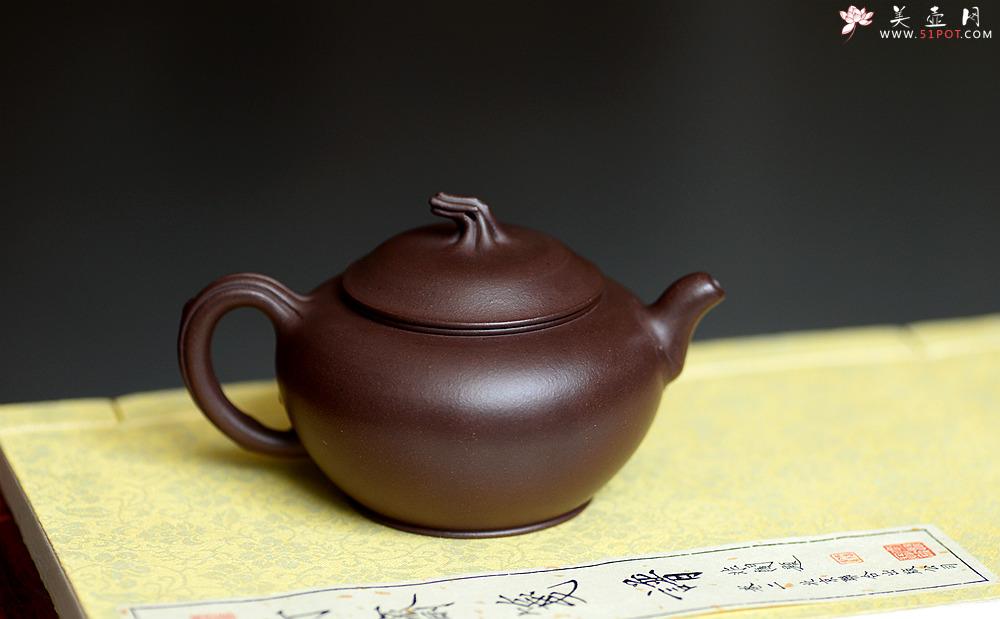 紫砂壶图片：高雪琴全手新作 做工精致 构思精妙别有风味 春韵壶 - 美壶网