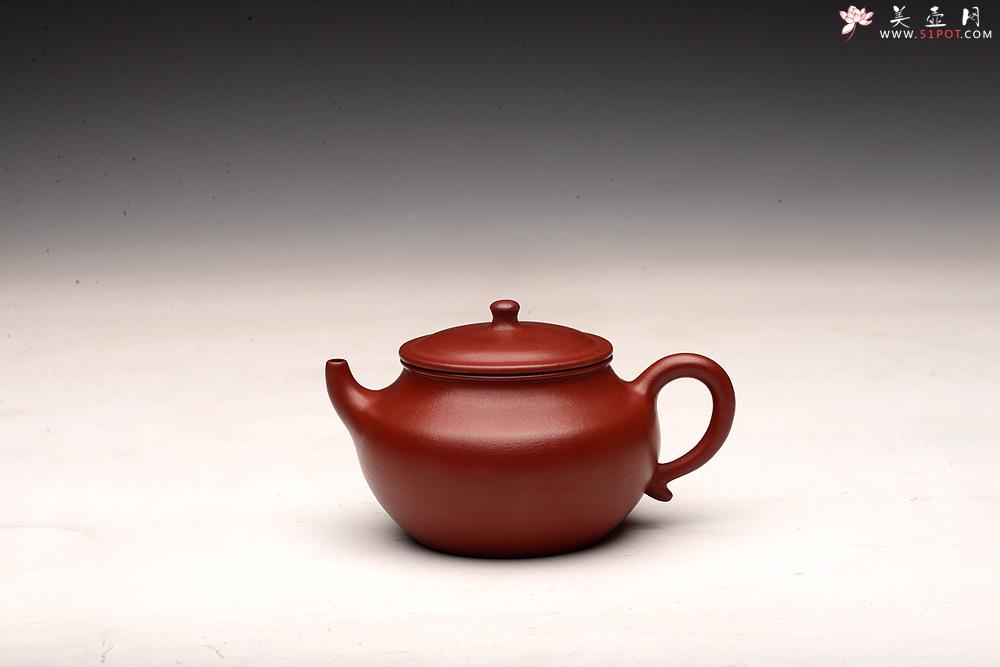 紫砂壶图片：徐亚春作品 别有风韵~娇艳可人 全手心灯 - 美壶网