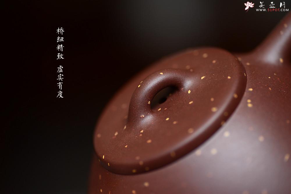 紫砂壶图片：曲峰老师全手工演绎经典 铺砂全手子冶石瓢 骨肉均挺 传统耐品 - 美壶网