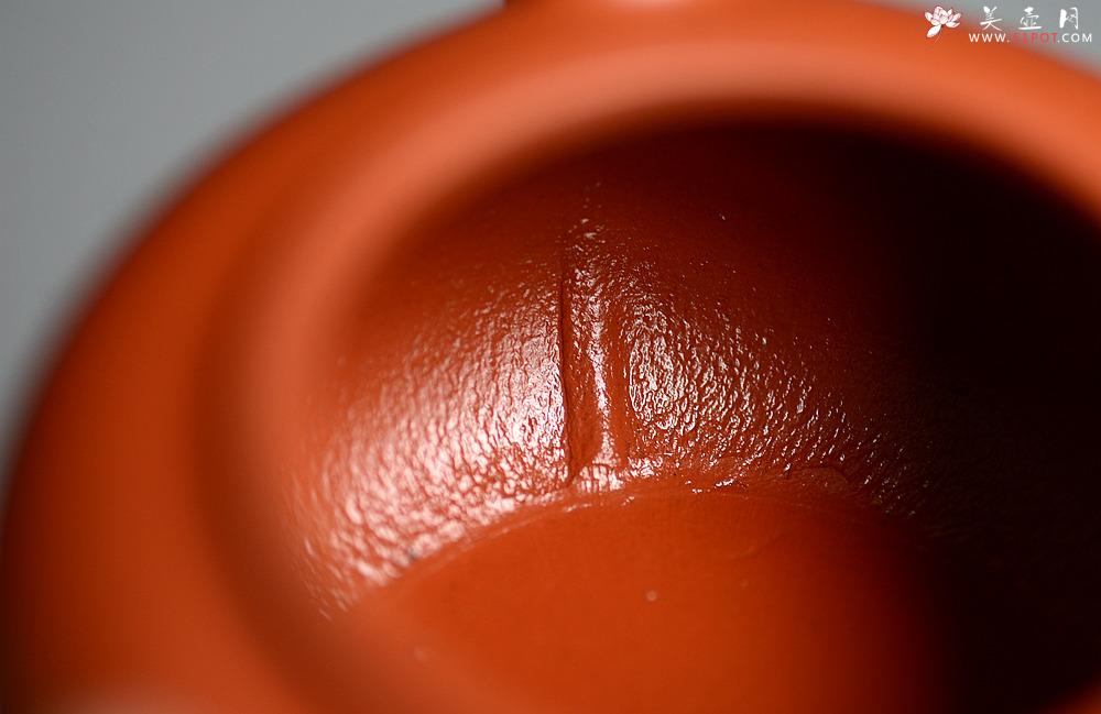 紫砂壶图片：徐亚春全手作品 优质朱泥 珠圆玉润 全手柿圆 - 美壶网