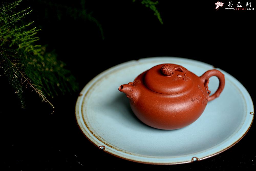 紫砂壶图片：蔡一强新品  实用花货 以松针装饰生动  原矿朱泥 全手松韵壶 - 美壶网