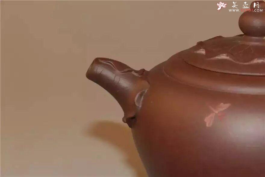 紫砂壶图片：荷悟 - 美壶网