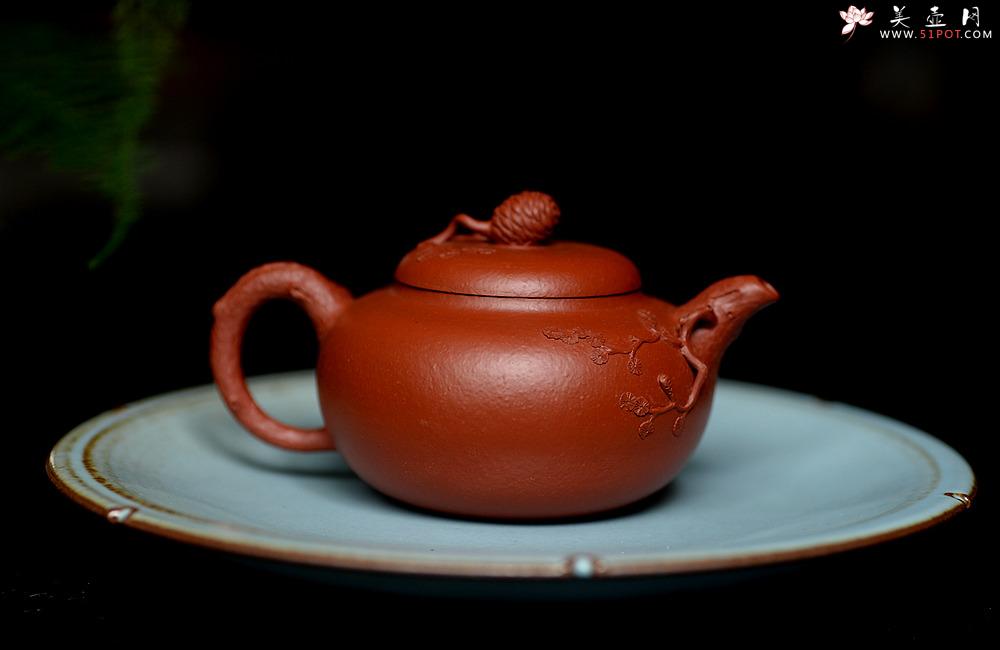 紫砂壶图片：蔡一强新品  实用花货 以松针装饰生动  原矿朱泥 全手松韵壶 - 美壶网
