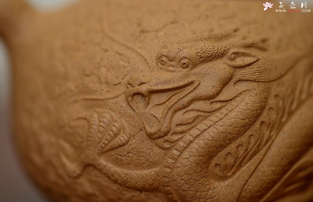 紫砂壶图片：谢多莲全手精品 游龙龚春 古朴之味 游龙生动逼真  - 美壶网