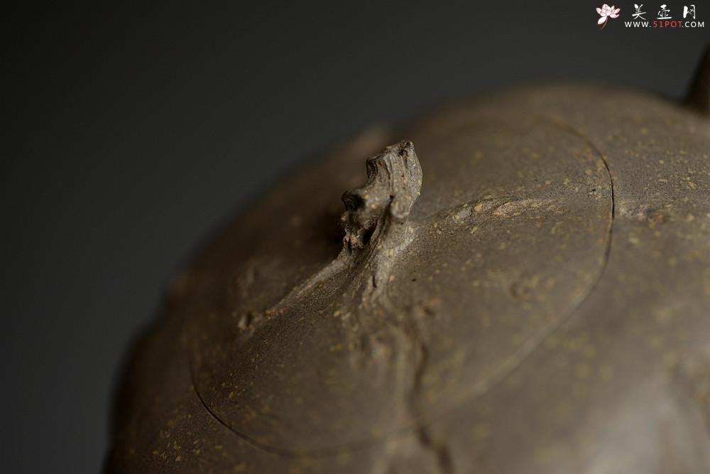 紫砂壶图片：林月长乙未年全手作品 返璞归真 清瘦山野清趣  香山秋林 - 美壶网