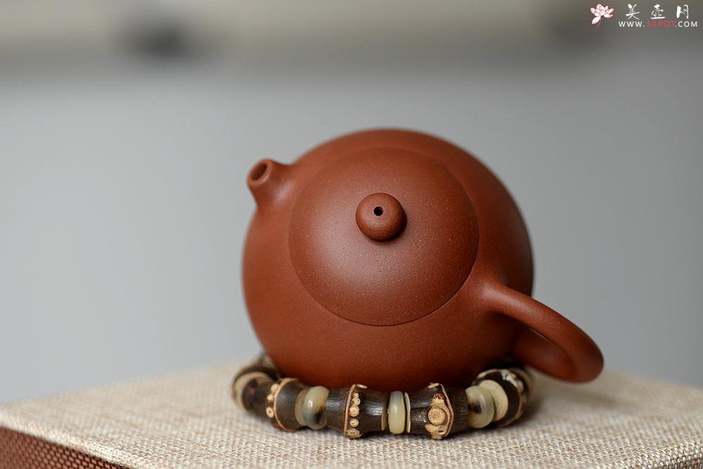 紫砂壶图片：美壶特惠 圆润饱满 实用小品 文旦 - 美壶网