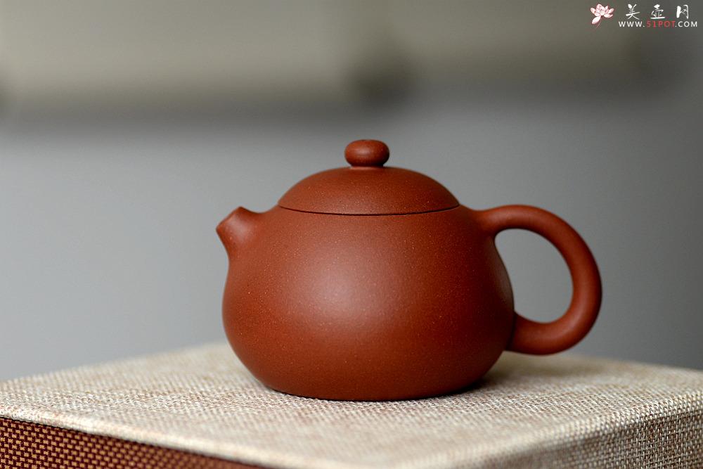 紫砂壶图片：美壶特惠 圆润饱满 实用小品 文旦 - 美壶网