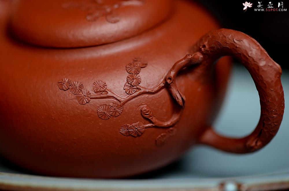 紫砂壶图片：蔡一强新品  实用花货 以松针装饰生动  原矿朱泥 全手松韵壶 - 美壶网