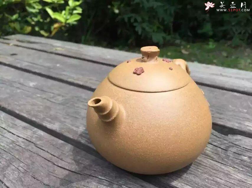 紫砂壶图片：含香 - 美壶网