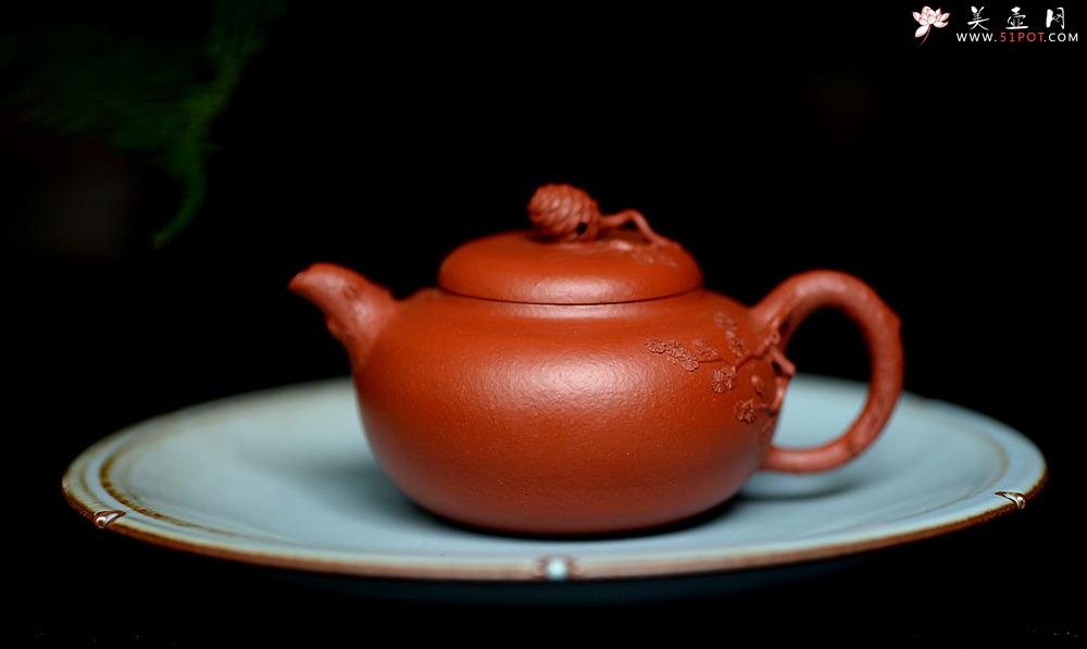 紫砂壶图片：蔡一强新品  实用花货 以松针装饰生动  原矿朱泥 全手松韵壶 - 美壶网