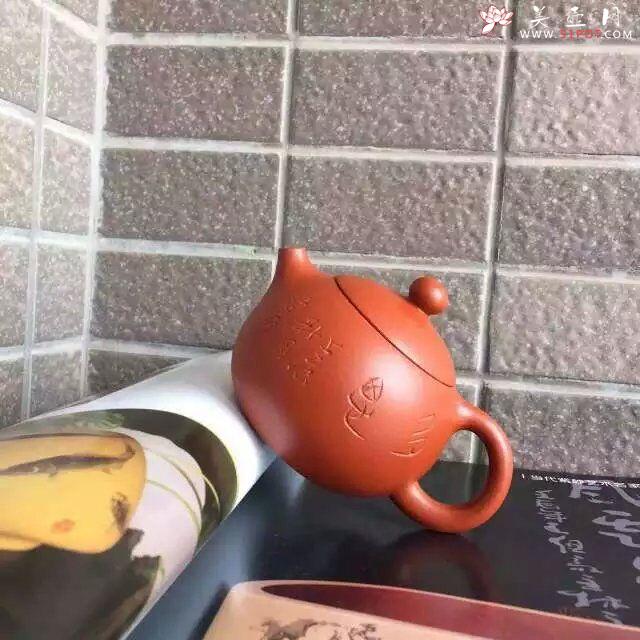 紫砂壶图片：极致小西施 - 美壶网