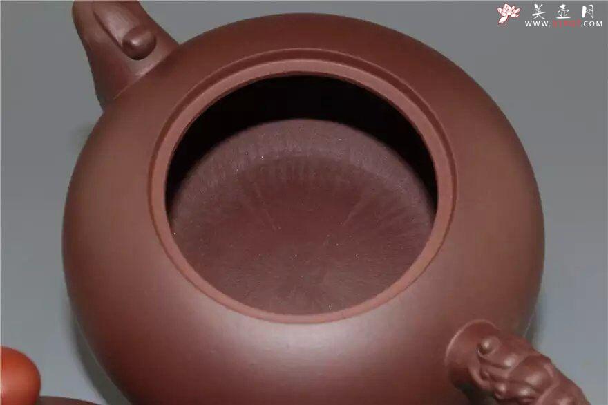 紫砂壶图片：鸿运当头 - 美壶网