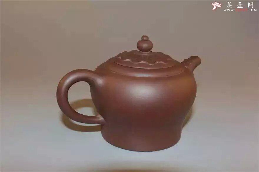 紫砂壶图片：荷悟 - 美壶网