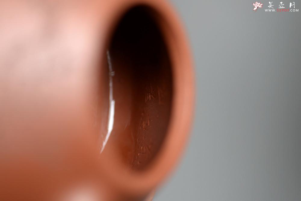 紫砂壶图片：手工炼制底槽青  骨骼清奇 国助范建鹏装饰 全手梅花石瓢 - 美壶网