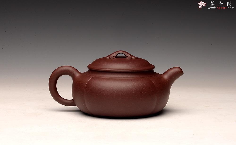 紫砂壶图片：美壶特惠  优质紫泥 四季如意 实用o(∩_∩)o  - 美壶网