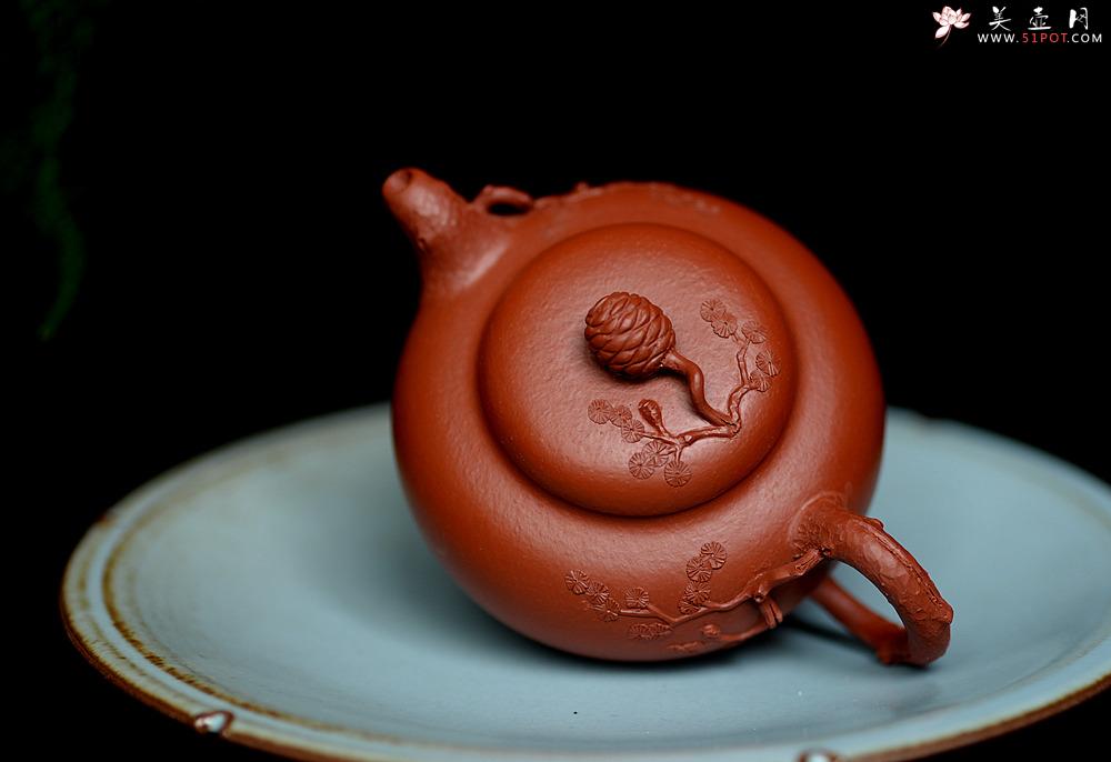 紫砂壶图片：蔡一强新品  实用花货 以松针装饰生动  原矿朱泥 全手松韵壶 - 美壶网
