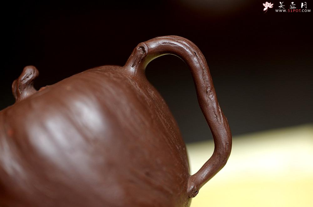 紫砂壶图片：花货新风尚  妙趣横生 潘丹初全手新作 树魂 - 美壶网
