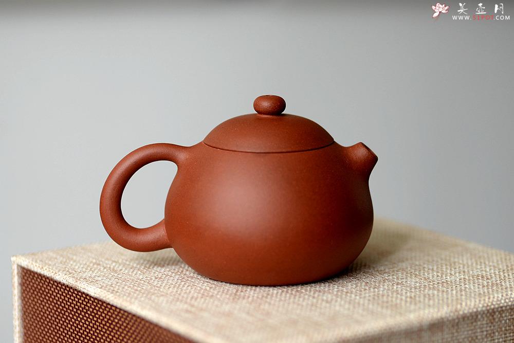 紫砂壶图片：美壶特惠 圆润饱满 实用小品 文旦 - 美壶网