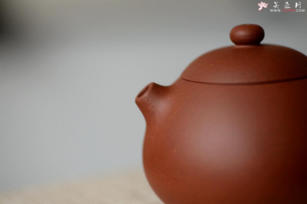 紫砂壶图片：美壶特惠 圆润饱满 实用小品 文旦 - 美壶网