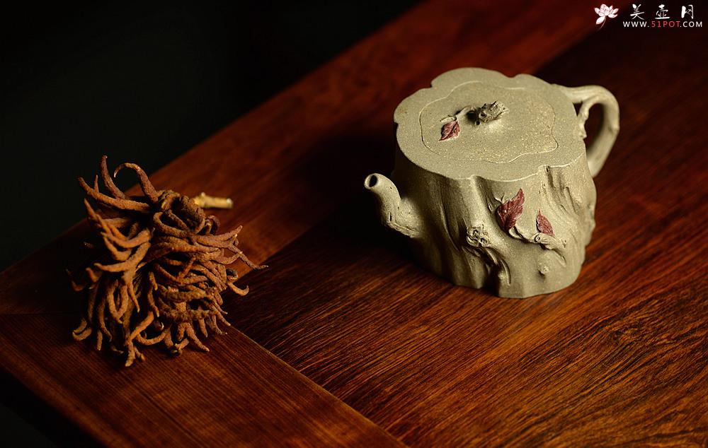 紫砂壶图片：学院派风格~ 郑志贤全手作品 秋吟 一缕秋风迎面来~ - 美壶网