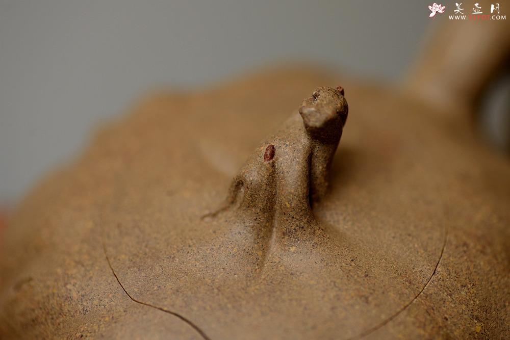 紫砂壶图片：刘秀全手经典作品 肌理自然生动 高挑挺拔 古朴之味~~颀长壶 - 美壶网