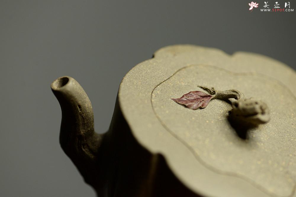 紫砂壶图片：学院派风格~ 郑志贤全手作品 秋吟 一缕秋风迎面来~ - 美壶网