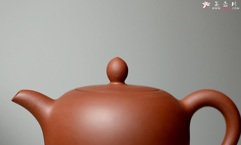 紫砂壶图片：曲峰老师全手精品之美人肩 亭亭玉立 娇俏可人 - 美壶网