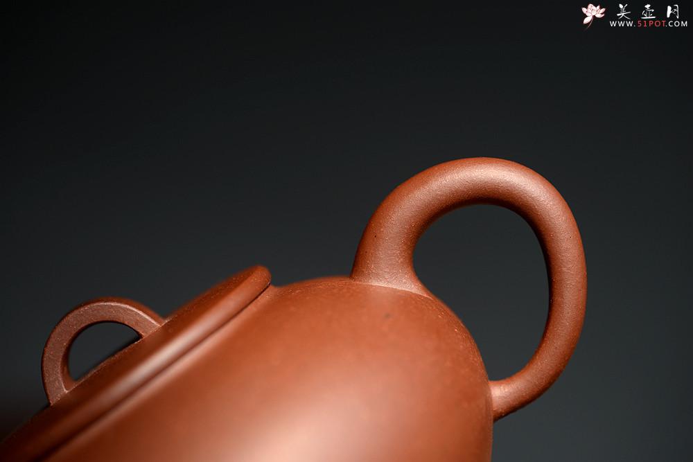 紫砂壶图片：詹黎明文气作品 别具风韵 全手巨轮珠 夏日畅饮必备 - 美壶网